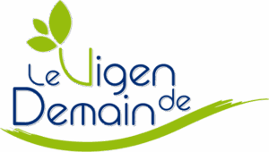 le vigen de demain, élections municipales 2026, élections, municipales, Jean-Luc Bonnet, le vigen, commune, programme, le vigen, politique, village, bourg, projet, levigendedemain, votez, projet, territoire